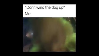 dont wind up the dog  grinch meme [upl. by Chaworth]