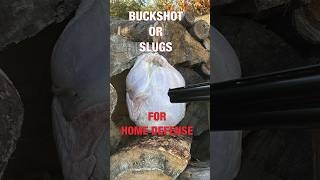 12 Gauge for Home Defense Buckshot or Slugs [upl. by Pimbley]