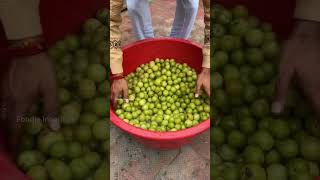 chyawanprash kese banaya jata making shortsvideo [upl. by Adnof]