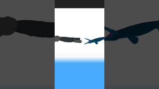 Aircraft cachalote vs aircraft tylosaurus animation shark cartoon whale [upl. by Arva327]