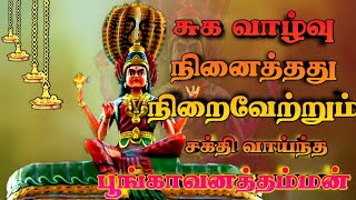 பூங்காவனத்தம்மன் பாடல்  Poongavanathamman pambai padal [upl. by Danni]