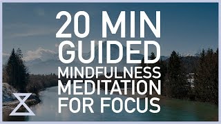 20 Minute Guided Meditation for Focus [upl. by Nowad261]