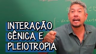 O que é Interação Gênica  Extensivo Biologia  Descomplica [upl. by Marjory]