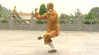 Shaolin Kung Fu Combat Styles 15 small Buddha form 小罗汉拳 xiao luohan quan [upl. by Gaultiero]