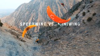 Speedwing VS Miniwing Flight [upl. by Nnylyram733]