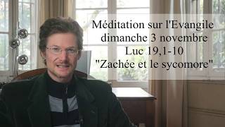 Zachée dans le sycomore La folie dans les Évangiles Méditation sur Luc 19110 [upl. by Ylecic976]