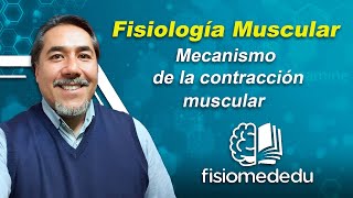 Mecanismo de Contracción y Relajación Muscular [upl. by Savill]