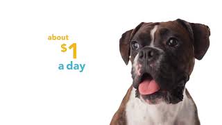 Hello Pet Insurance Goodbye vet bills  SPCA amp Humane Society Pet Insurance Offered by Petplan® [upl. by Francesco]