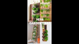 Herb Garden Ideas shorts herbalmedicine gardendesignideas smallgarden bushes gardeningtips [upl. by Kendrah467]