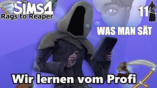 quotIch brauche deine Hilfequot  🔴 LIVEStream vom 24092024  Sims 4 EVENT  Was man sät  MinaBella [upl. by Anneuq]