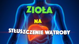 Niealkoholowe proste i alkoholowe stłuszczenie wątroby  PiszeBabaDoZielarza odc80 [upl. by Nnayecats778]