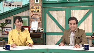 tvk「クルマでいこう！」公式 比べて納得ハイパフォーマンスの称号 20241110放送861 [upl. by Alym]