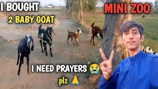 Mini zoo Kay Liya Bhoot prayers 🙏 ki zarorat ha  Hassan Kay pets [upl. by Anael]