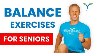 Balance Exercises for Seniors  Fall Prevention  Balance Exercises for Elderly [upl. by Howell95]