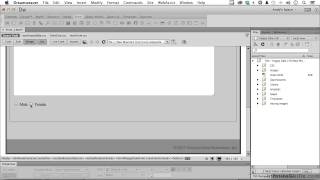 Adobe Dreamweaver CC Tutorial  Adding Radio Buttons And Checkboxes [upl. by Akimaj]