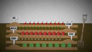 What is food insecurity An explanation [upl. by Moulden]