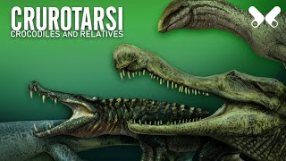 PREHISTORIC CROCODILES AND RELATIVES Size comparison Crurotarsi Pseudosuchia [upl. by Nihs638]