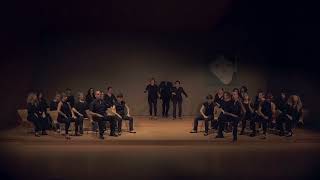 LA DANSA DELS PETITS CIGNES  Tchaikovsky  BODY PERCUSSION Santi Serratosa [upl. by Mou]