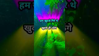 हम खुद से गिरे Gulzar shayari heart touching Emotional quotes motivational speech sdrcreative09 [upl. by Anawik]