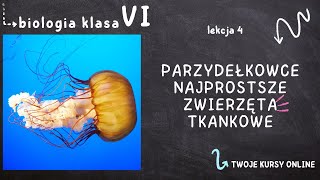 Biologia klasa 6 Lekcja 4  Parzydełkowce  najprostsze zwierzęta tkankowe [upl. by Yartnoed179]