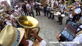 Siamo in provincia di Vercelli a Gattinara per la festa delluva [upl. by Rapp]