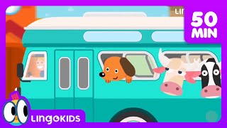 BINGO THE DOG 🐶 More Popular Songs for Kids  Lingokids [upl. by Kellda841]