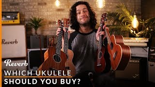 Which Ukulele Should You Buy  Reverb Buying Guide [upl. by Ettegroeg362]