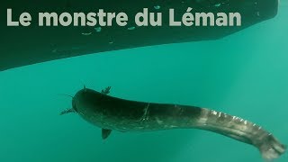 Le monstre du Léman [upl. by Gibe158]