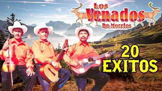 LOS VENADOS DE MORELOS  20 Exitos Rancheros [upl. by Sianna]