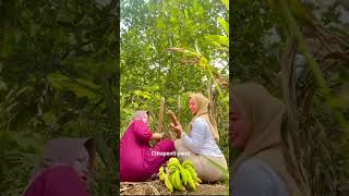 Besar bengkok shorts funny vlog [upl. by Tichonn187]