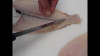 Passionate About Fish  How to fillet Plaice fillets beginners [upl. by Odnalra486]