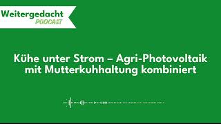 Weitergedacht 06 Kühe unter Strom – AgriPhotovoltaik mit Mutterkuhhaltung kombiniert [upl. by Senga]