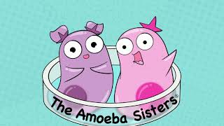 Amoeba Sisters Music [upl. by Legyn104]