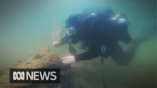 The divers hunting unexploded World War II bombs [upl. by Aicnarf]