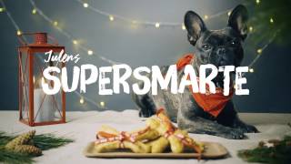 KIWI  Julens supersmarte hundekjeks [upl. by Mloc]