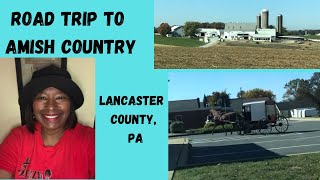 Road Trip Through Amish Country in Lancaster County PA [upl. by Llenart]