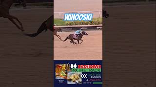 Winooski takes the first race under Edwin González GulfstreamPark [upl. by Htennaj]