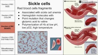 Red Blood Cell Morphological Abnormalities [upl. by Oiraved]