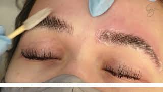 Eyebrow Lamination amp Henna Bee Eyebrow Tint in ONE service [upl. by Aicinod]