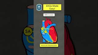 EKG Interpretation in UNDER 1 MINUTE ECG Basic Waveform  Nursing Made Easy [upl. by Buckler]