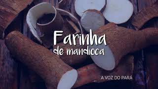 5 Benefícios da Farinha de Mandioca [upl. by Zollie387]