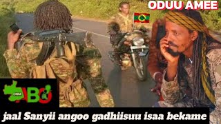 ONM ODUU AMEEhoganan Zoonii GG jaal Sanyii angoorra gutuumaati gadhiisuu isaa bekame [upl. by Oilenroc]