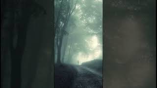 मौत की सड़क  Dow Hill Of Kurseong Real Horror Story shorts dowhill kurseong [upl. by Ycrem]