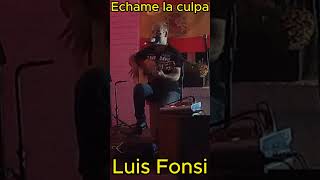 Echame la culpa Luis Fonsi gitarre salsa echamelaculpa latino spanischegitarrelernen cuba [upl. by Barrett]