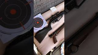 Crosman 1377 vs Umarex NXG APX accuracy test [upl. by Leonteen]