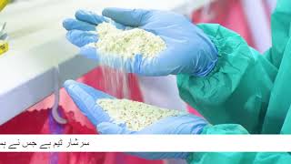 Konpal Ispaghol  Manufacturer of Psyllium Husk amp Powder  Pakistan [upl. by Skip]