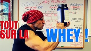 Tout Sur La Whey  Laquelle Quand La prendre Avec Quoi [upl. by Yentrac79]