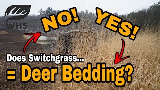 Switchgrass For Deer Bedding [upl. by Adur]