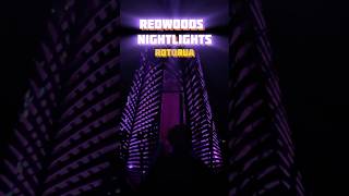 Redwood Tree walk Nightlights 🌲🌌 shorts redwoodforest rotorua [upl. by Anselme]