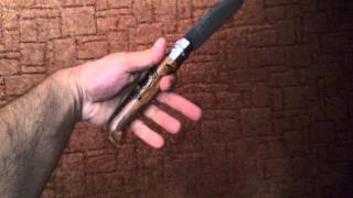 Opinel No12 modification Sea Wolf [upl. by Armalda928]